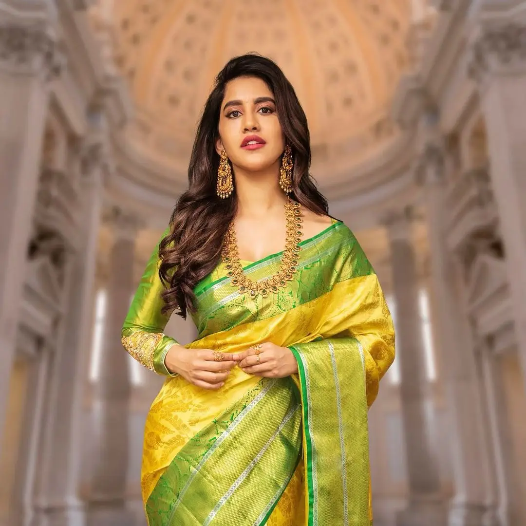 Nabha Natesh in Beautiful Jewlery Yellow Saree Green Blouse